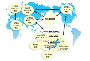About WHOCC