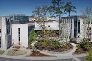Duke University School of Nursing (USA)